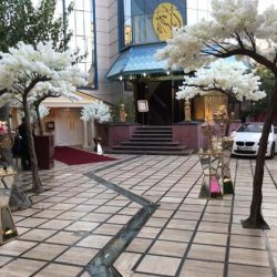 ورودی و فضای باز تالار مجلل کیان
